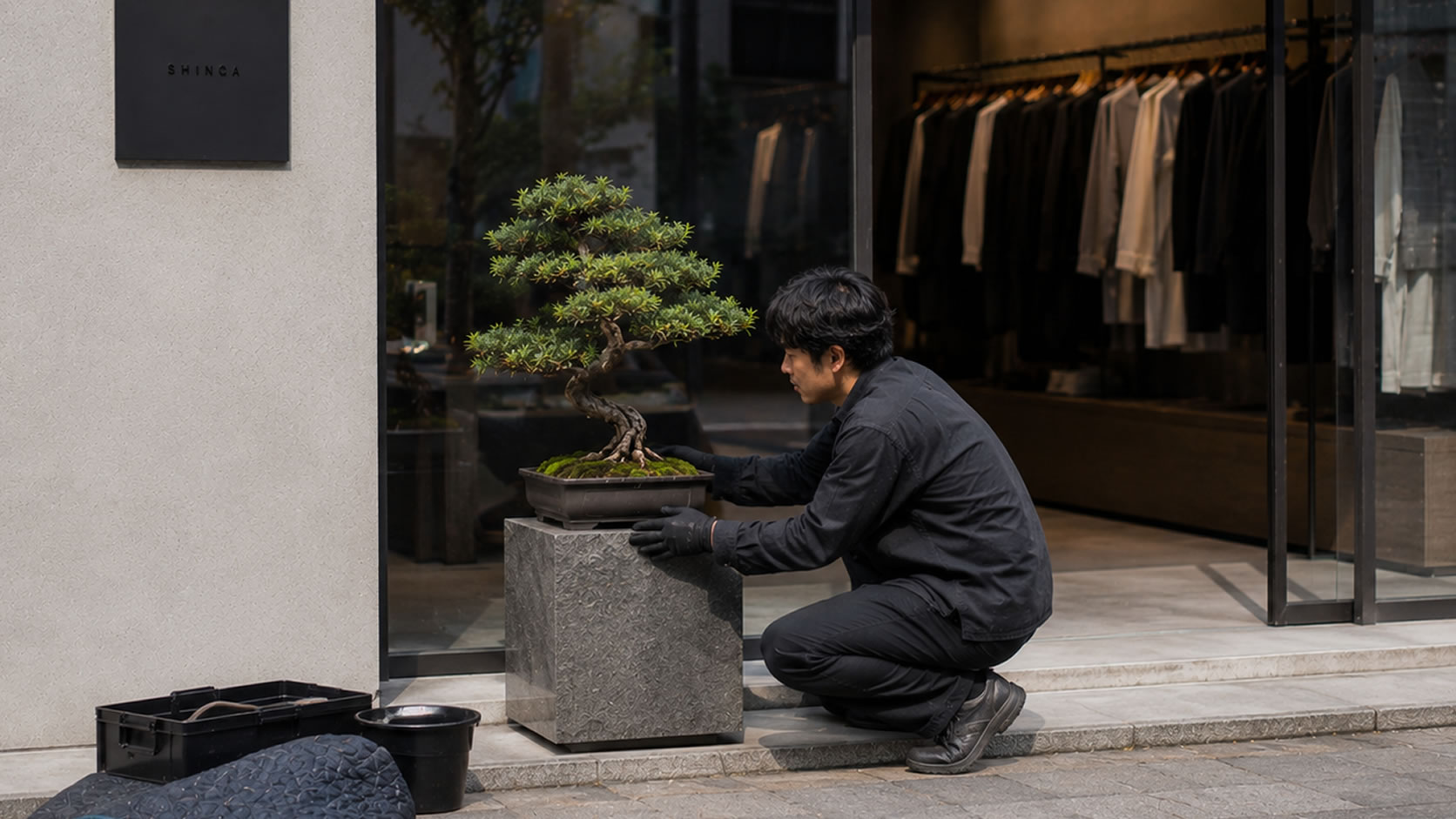 盆栽を定期的にレンタルしお店に展示しよう