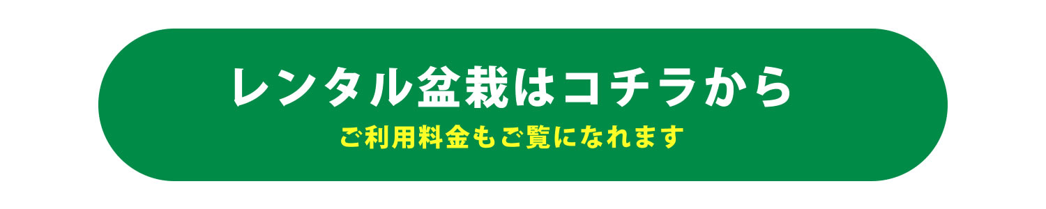 ご利用料金