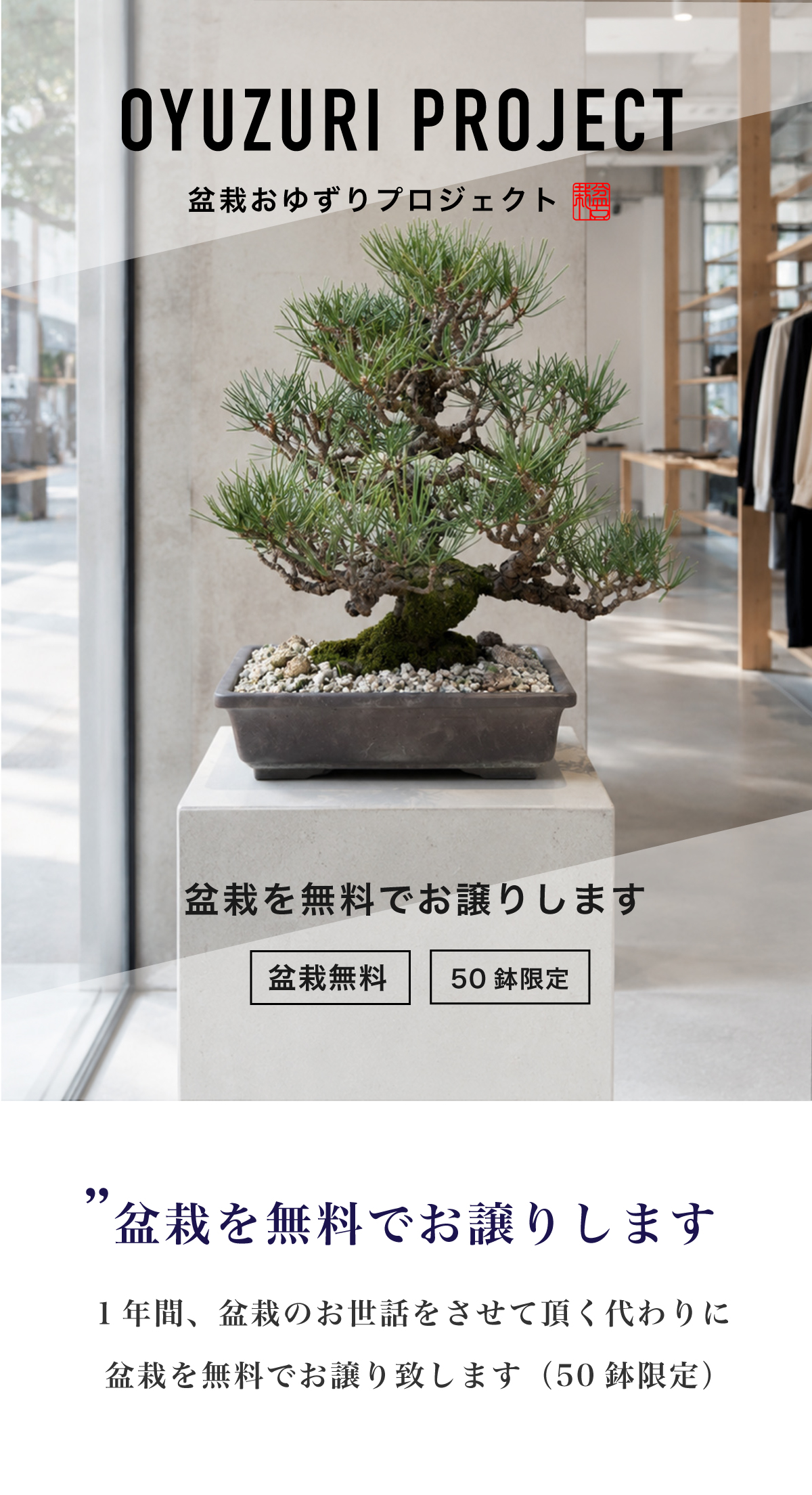 福岡市の盆栽レンタル