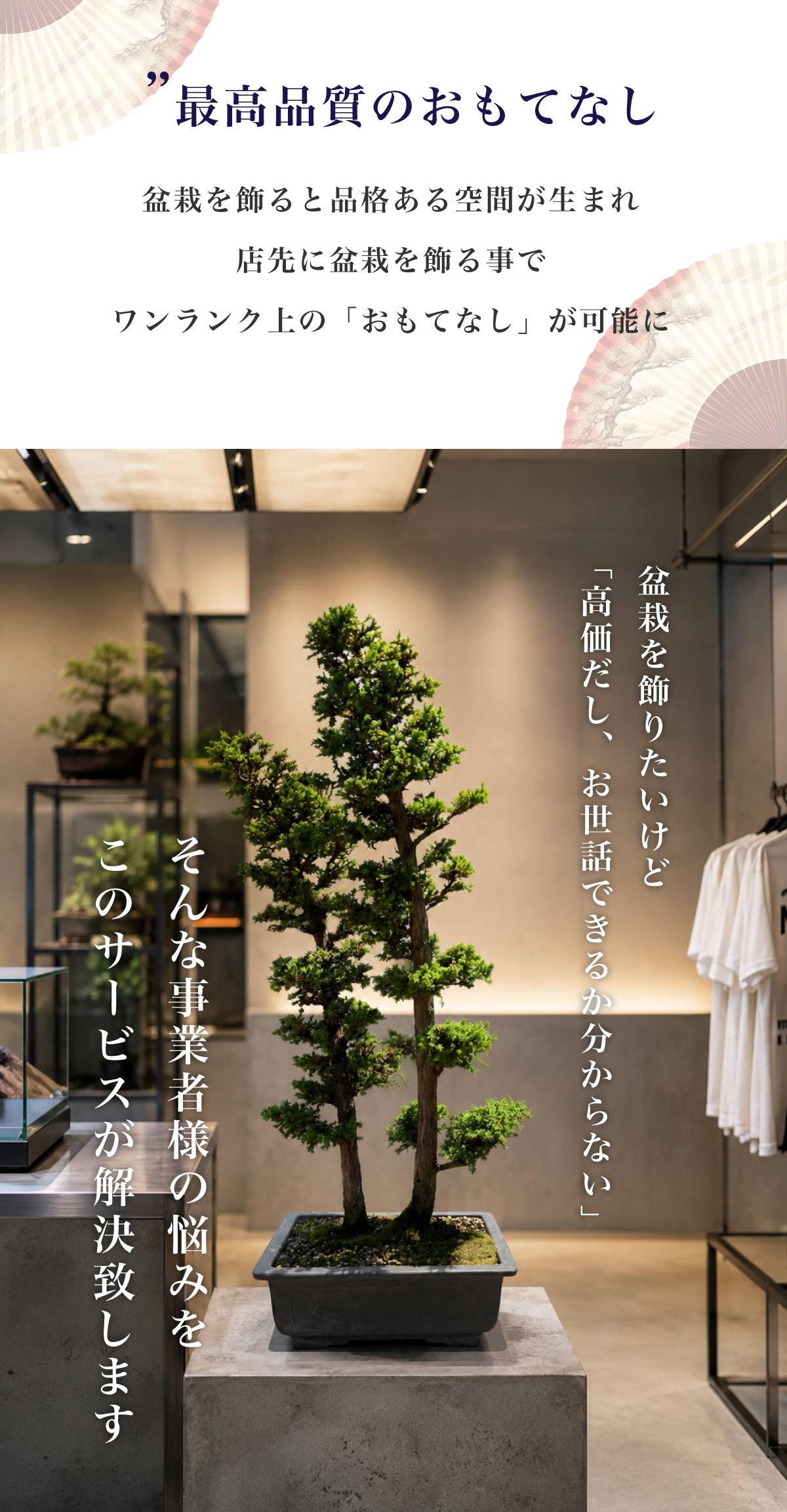 盆栽無料お譲りプラン