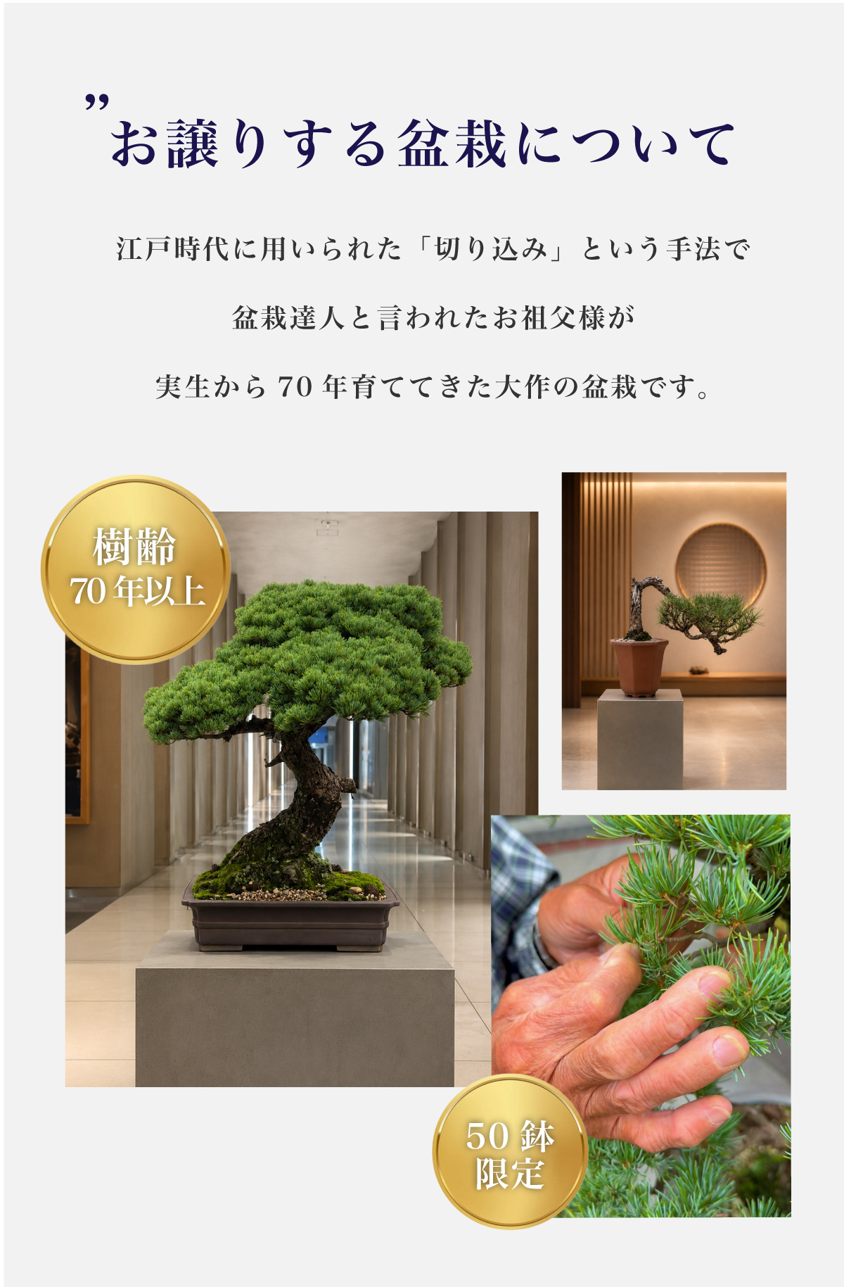 盆栽管理サービス
