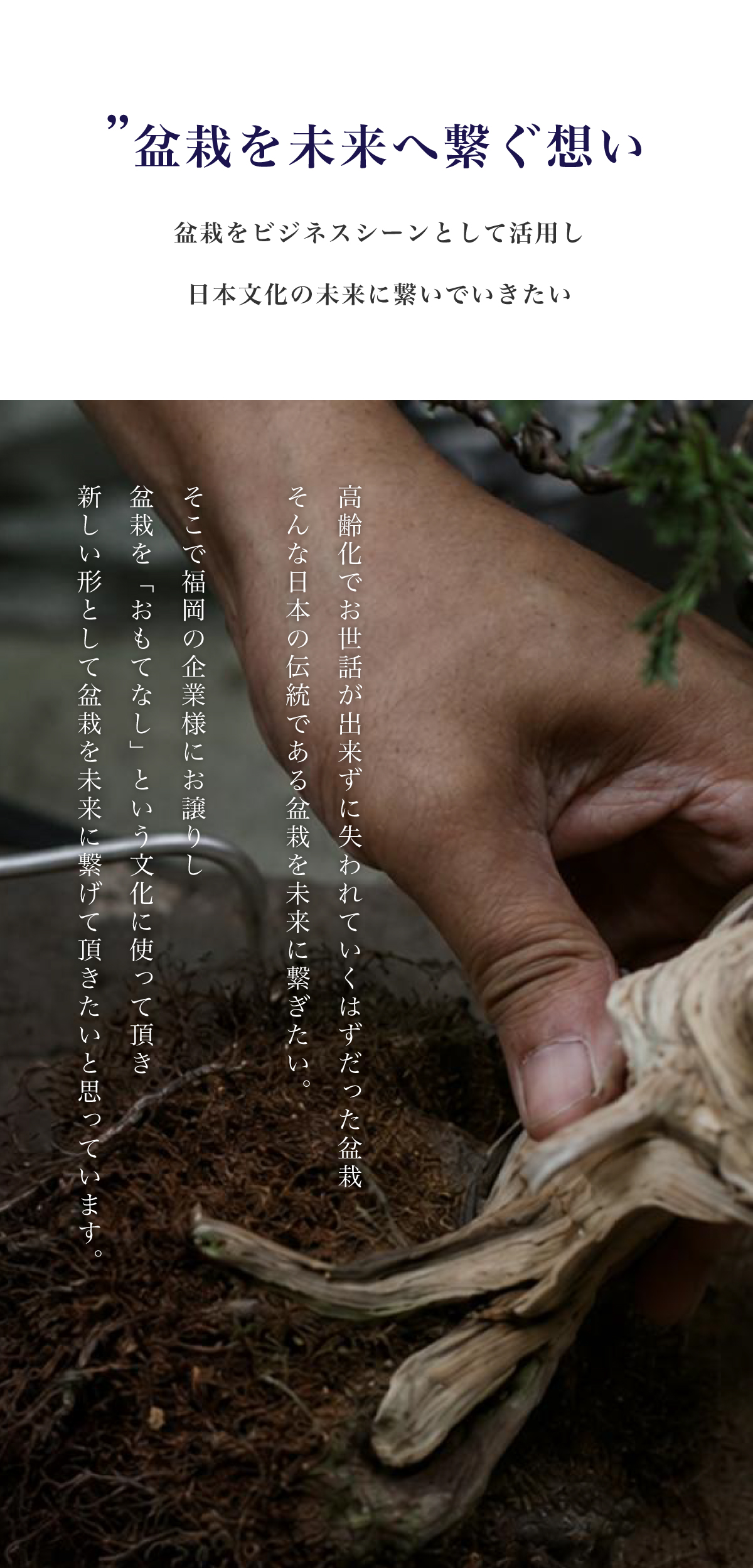 BONSAI WORKS
