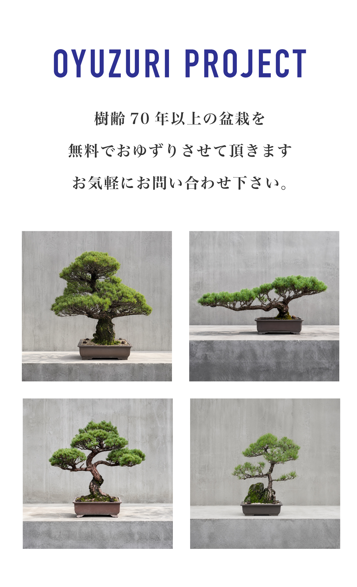盆栽管理サービス